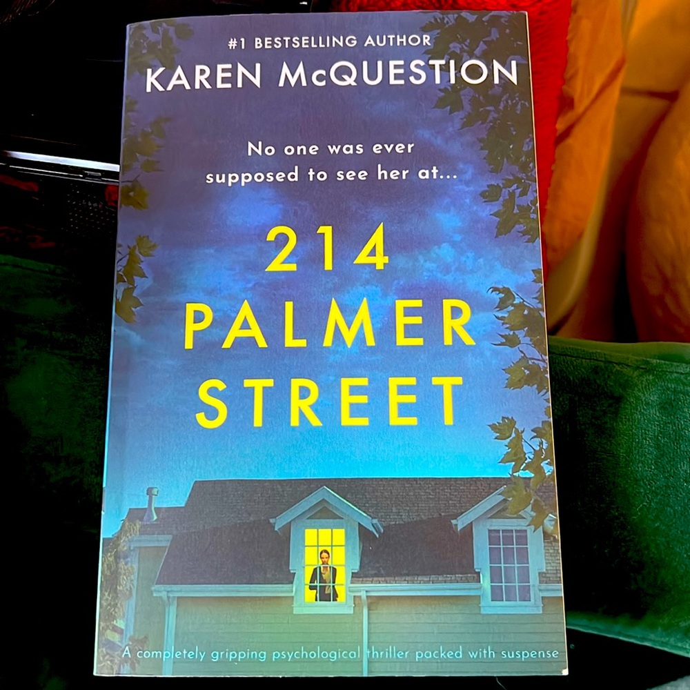 214 Palmer Street novel by Karen McQuestion